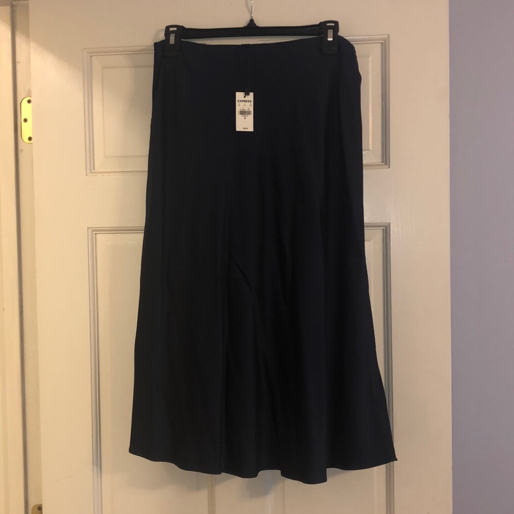 Express silk/satin-like skirt. Never worn.